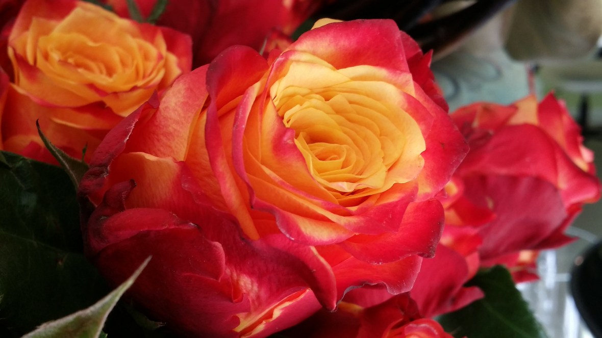 the-atomic-rose-macro