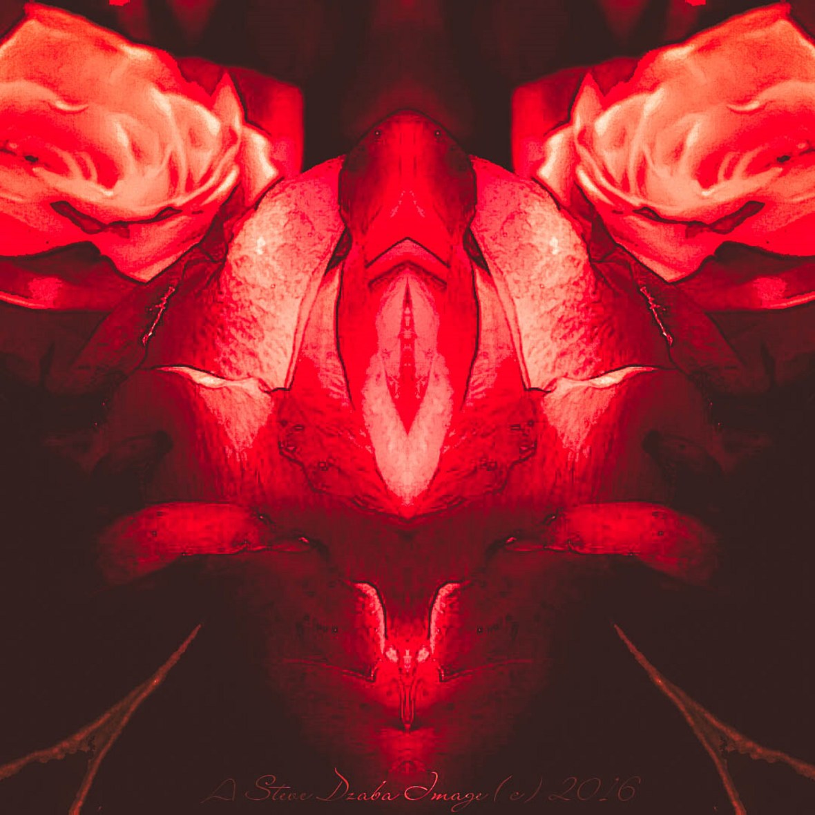 The Sentinel "I See Red" Limited Edition