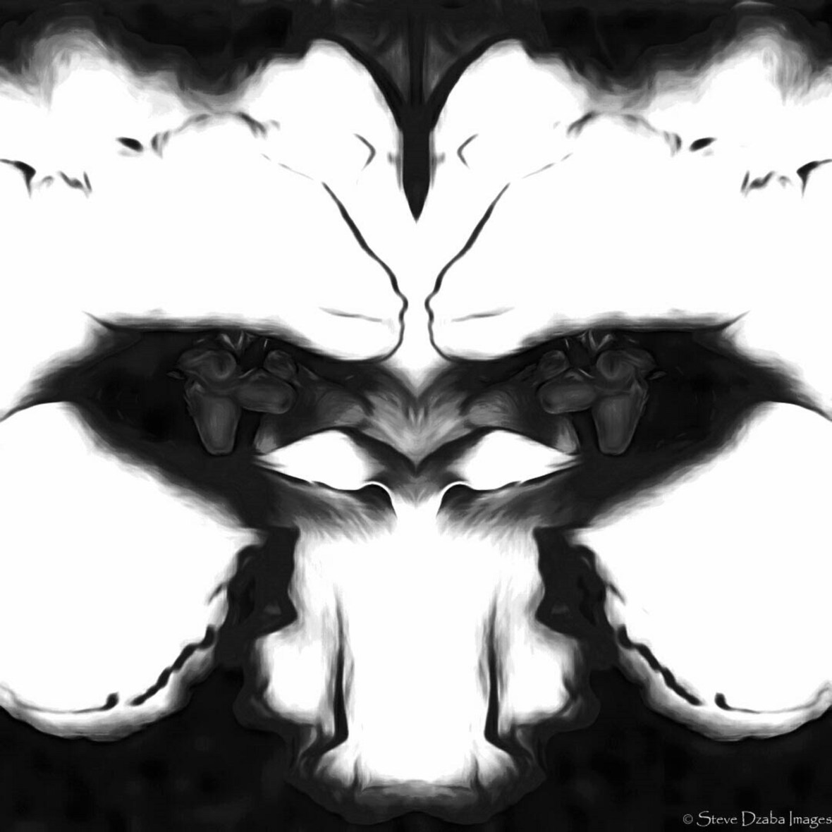 abstract-portrait-series-24