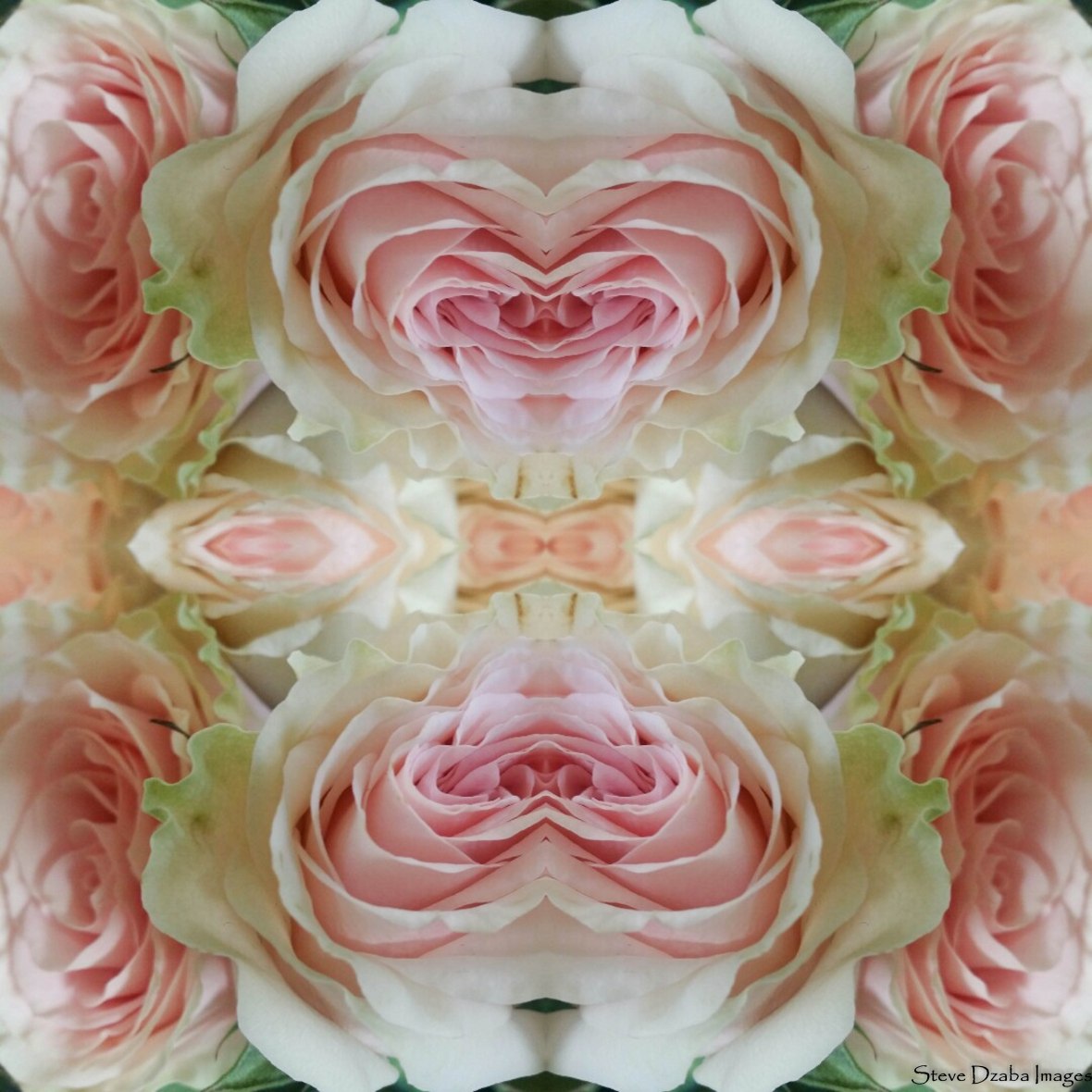 floral-portrait-series-the-eden-spray-pink-n-green-garden-roses-hearts-limited-edition-2