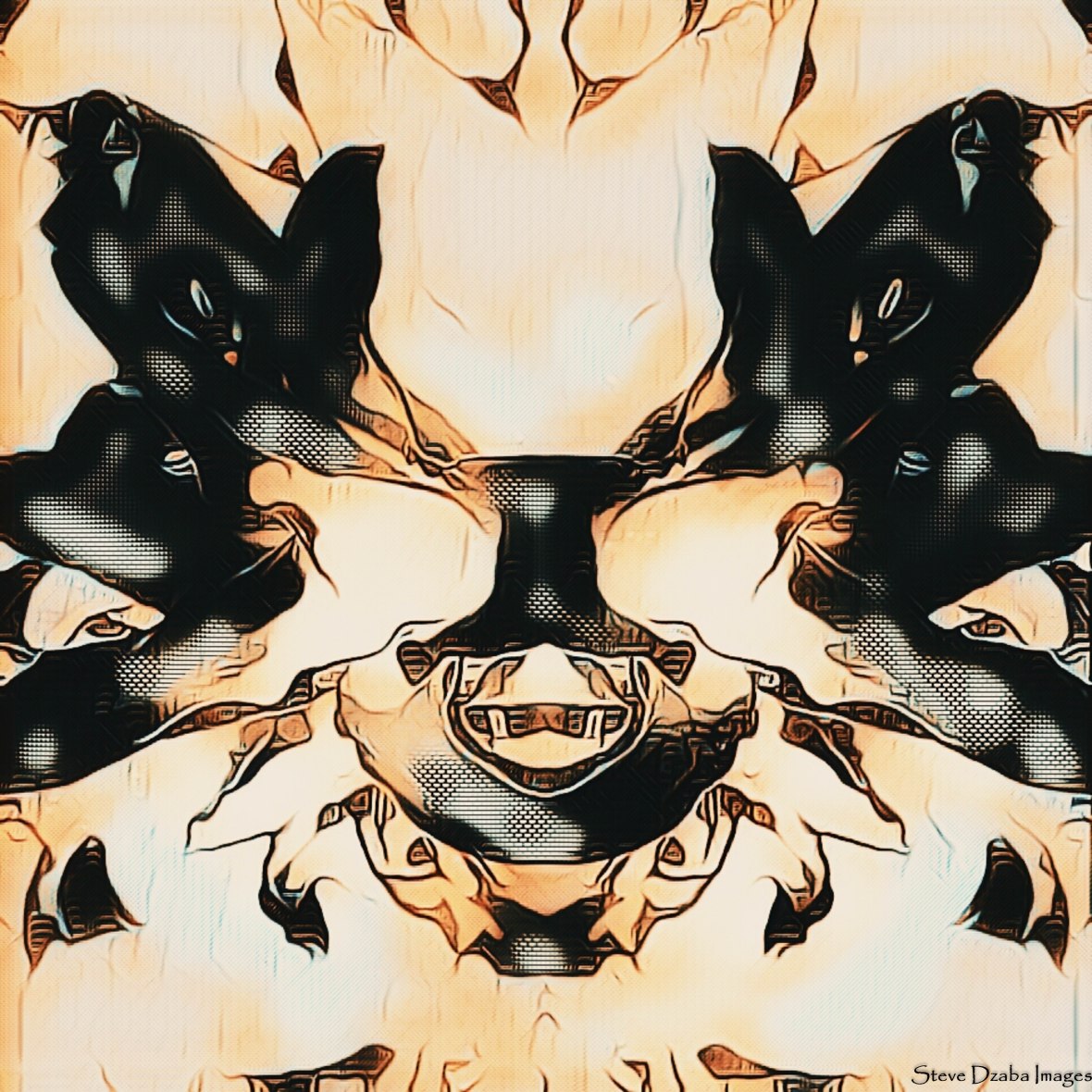 Abstract Portrait Series: The Inkblot No.7