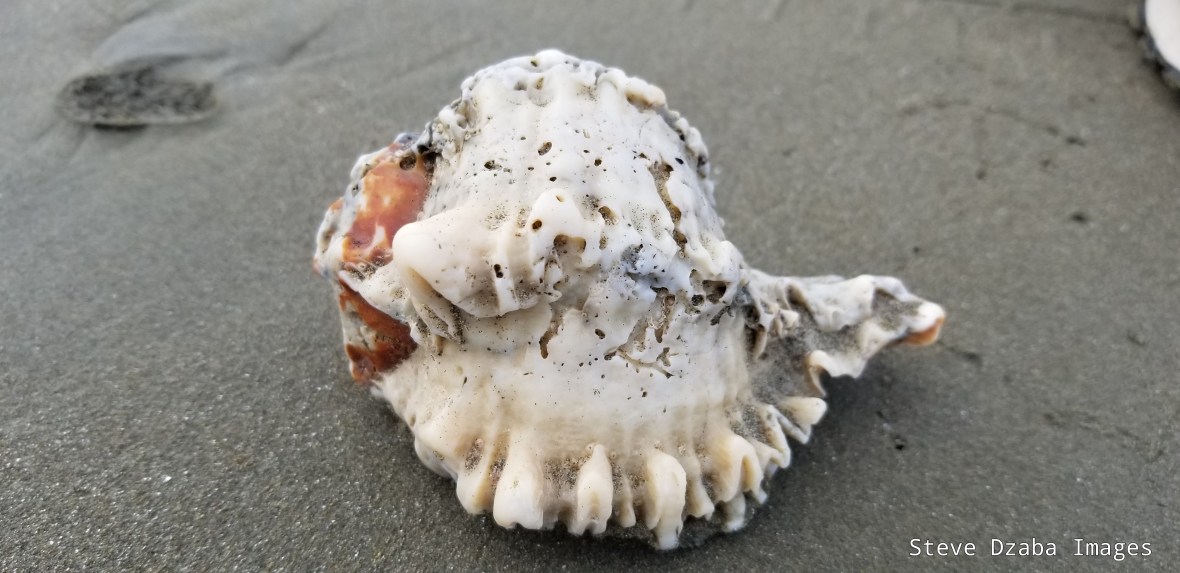 20181231_174615_1547667107547