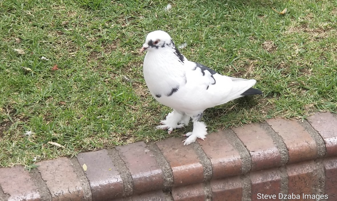 20190110_105117_1548125392398