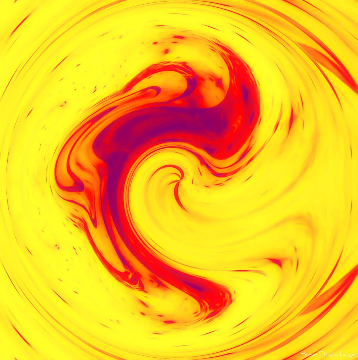 Abstract Portrait A Thought Fire Lily Inferno Limited Edition