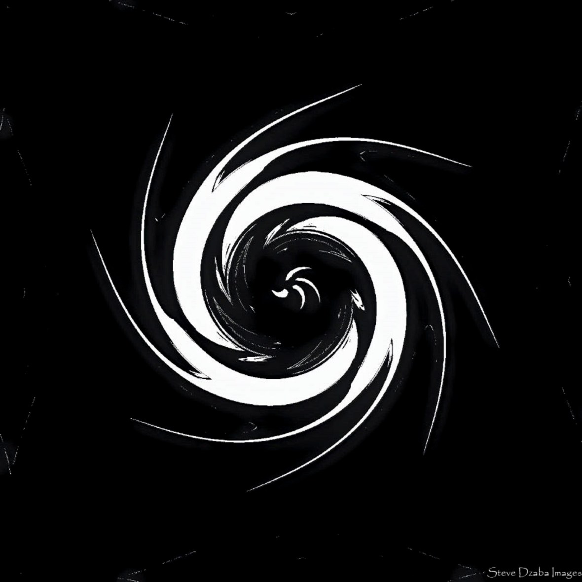 Abstract Portrait Series The Inkblot Vortex 7 Black &amp; White