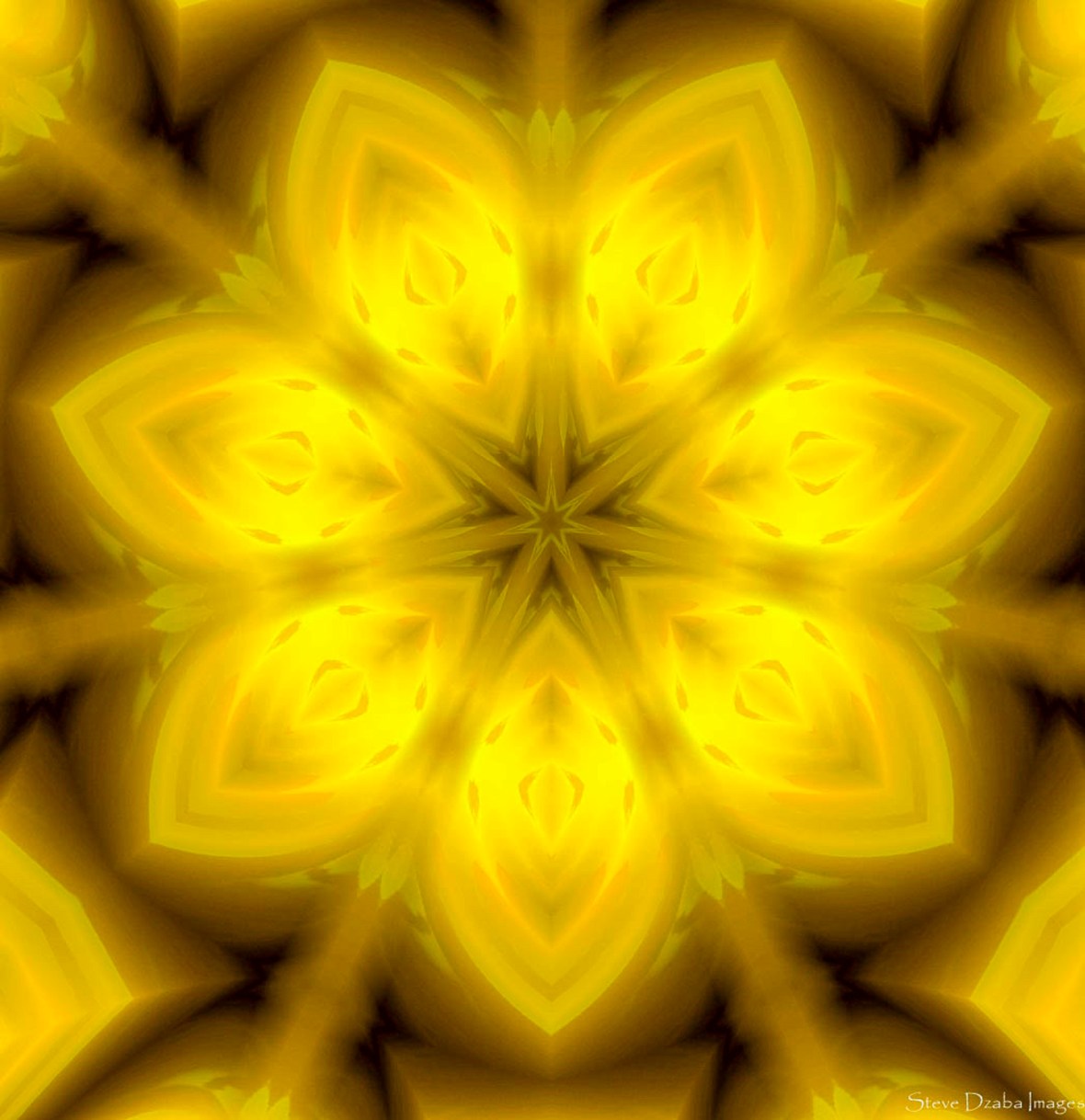 Abstract Portrait Series 7 Star Golden Light Limited Edition